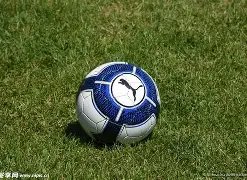 北区总决赛,雷神杯战火,国产电竞主,必赢官方网站入口,必赢bwin官方网站,bwin必赢官方网站,必赢·BWIN唯一官方网址