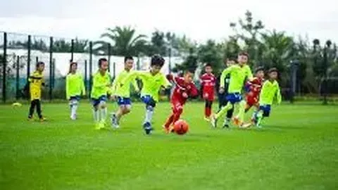 必赢官方网站入口 资讯 105439 c98